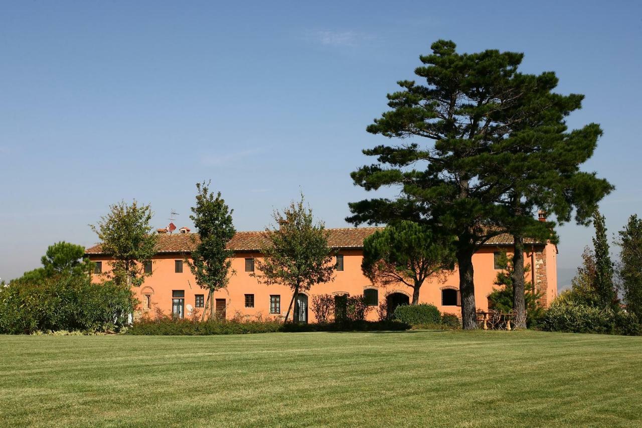 La Magnifica B&B Fauglia Dış mekan fotoğraf