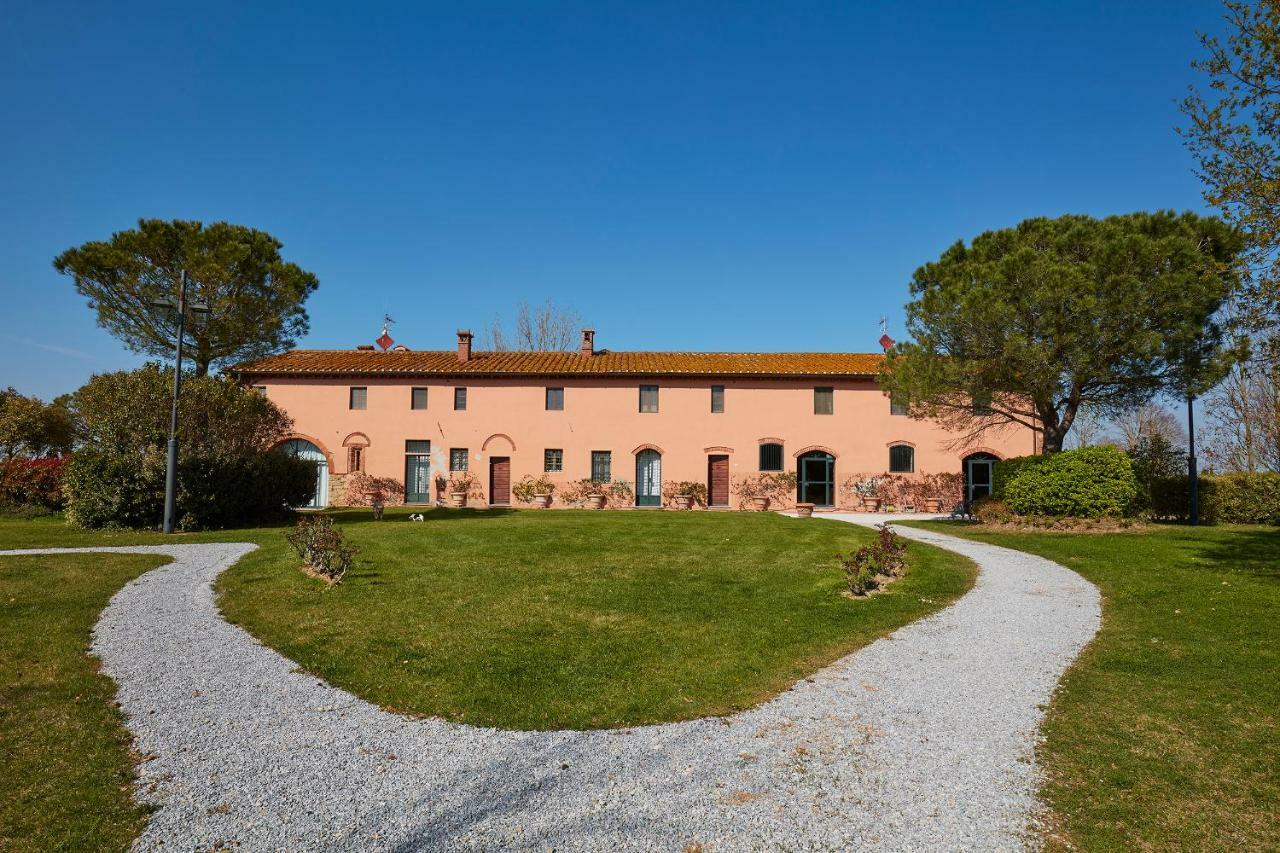 La Magnifica B&B Fauglia Dış mekan fotoğraf