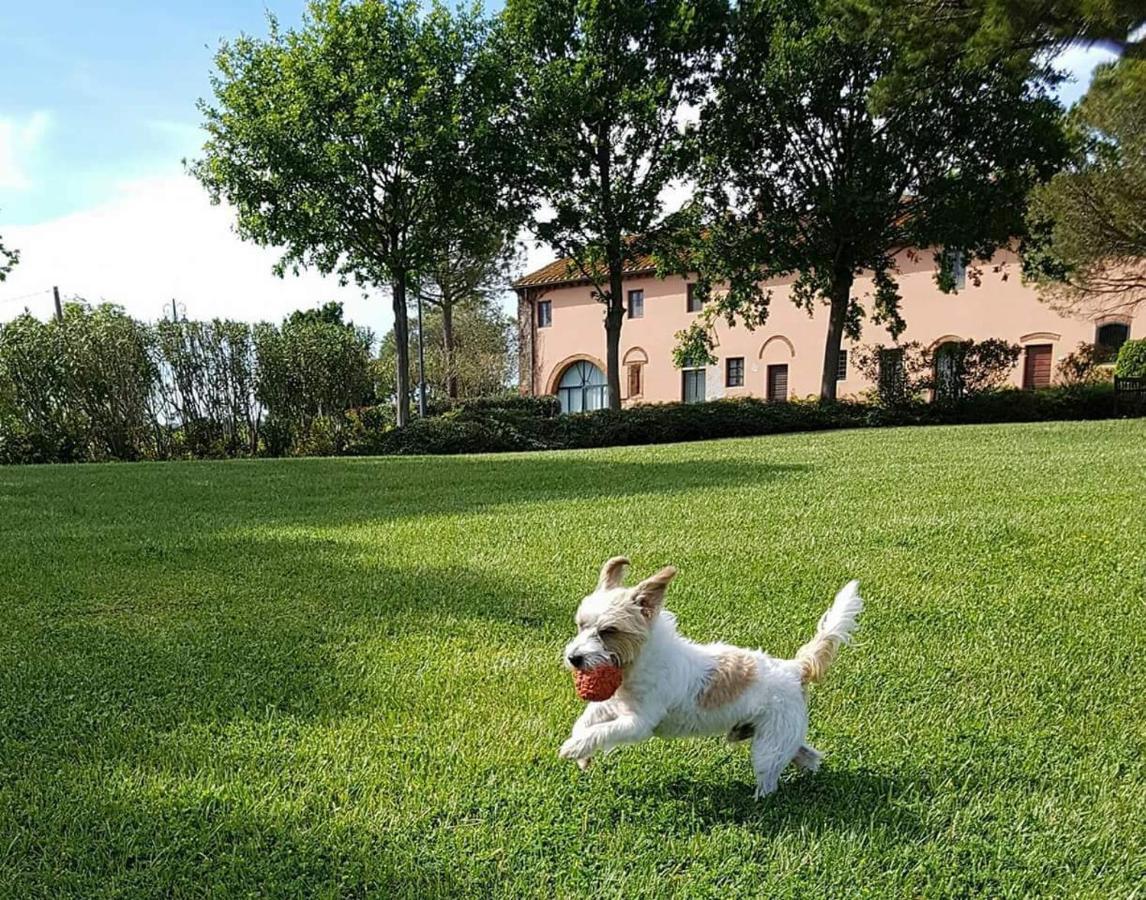 La Magnifica B&B Fauglia Dış mekan fotoğraf